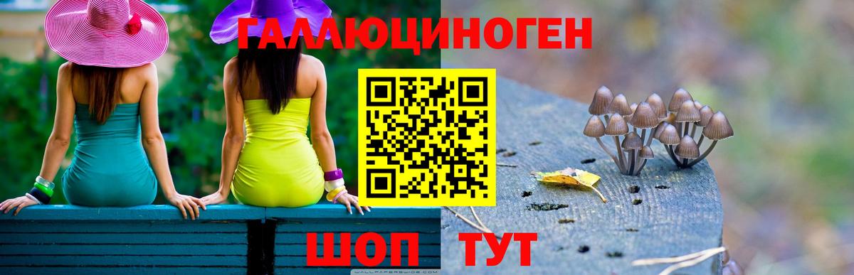 Галлюциногенные грибы прущие грибы  Вход с VPN  Назрань 